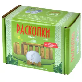 Набор для проведения раскопок с монетами "Кельты" картинка 368729 - МосИгра